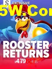 Crash Games Strategies 479Bet